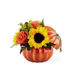 The FTD Harvest Traditions Pumpkin From Rogue River Florist, Grant's Pass Flower Delivery